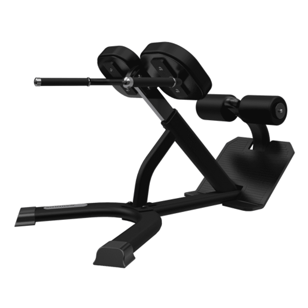 Nautilus back extension machine sale